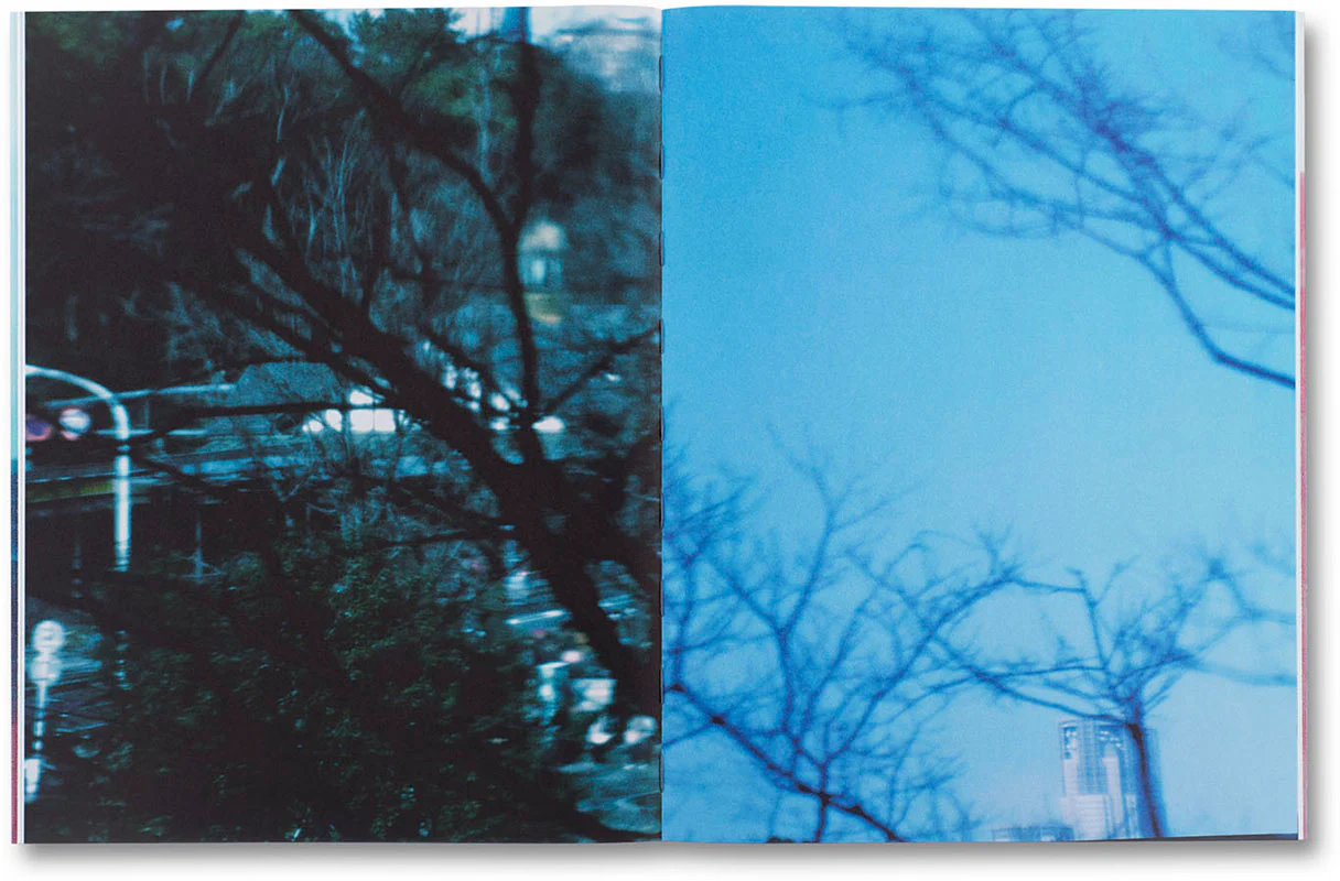 Thumbnail 15